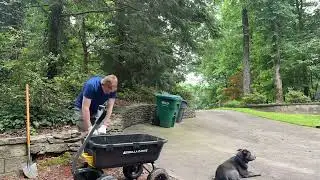 Me digging a hole with my dog
