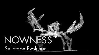 'Sellotape Evolution' by Jacob Sutton and Gary Card