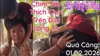 Căng! Chim Sâu Long Tứ Bán Vàng Đi Nhậu Bụp Nhau Luôn 