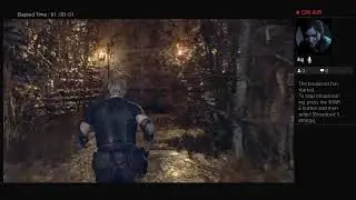 Playing re4 on professional mode (Trying to get all achievements)