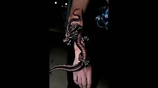 Black & Grey Dragon Tattoo on Forearm