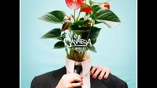 Canaiera - Muda [&Aacute;lbum Completo]