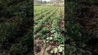 #techkishan #viralvideo