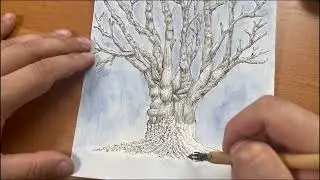 Inking a tree p 7 (ink and dip pen)