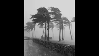 [FREE] CINEMATIC TYPE BEAT ~ “WHINING WIND”