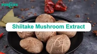 shiitake mushroom extract