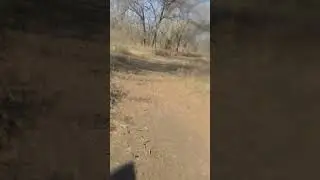 Park ride part 4