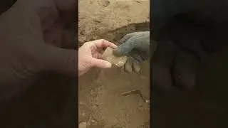 Anunnaki Tablets Found in Iraq!