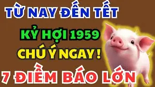 Kỷ Hợi 1959 từ nay đến Tết Âm Lịch, Bất Ngờ Xuất Hiện 7 Điềm Báo Lớn – Kiểu gì cũng xảy ra!