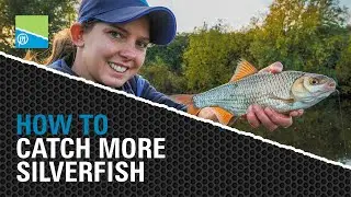HOW TO Catch More Silverfish!