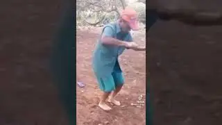 corajoso de pinfa