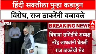 Language Politics: 'पहिली ते चौथी Hindi ची सक्ती नको', Raj Thackeray यांनी Narendra Jadhav यांना ठणक