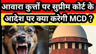 Stray Dogs पर Supreme Court के फैसले से MCD की बढ़ी मुसीबत