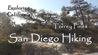 California | Hiking San Diego | Torrey Pines Natural Preserve