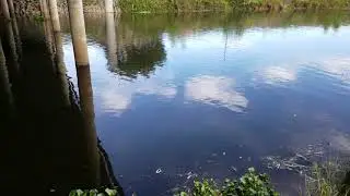 This spot comes up as one of my top 10 local Bass Holes