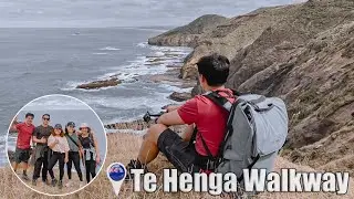 Te Henga Walkway | New Zealand
