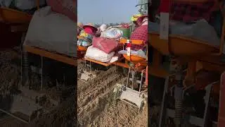 2 rows Sugarcane Planter for pre-cut cane seeds.