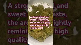 Uk medicinal cannabis strain review , Garlic cookies