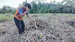 Inside the Traditional Asian Lifestyle 2026