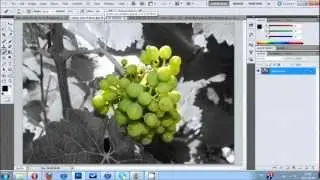 [Photoshop] Objet couleur sur photo noir et blanc