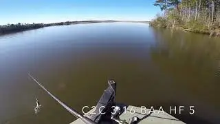 Cast to catch 3:16 BAA heavy floater 5 Swimbait
