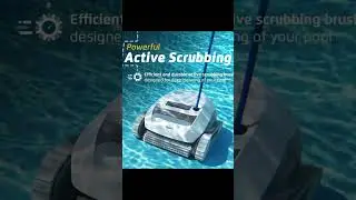 Why Dolphin E10 is the #1 Robotic Pool Cleaner for 2025 Pool Owners