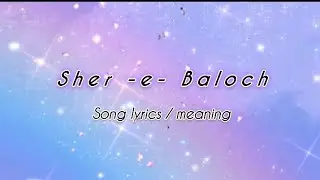 Sher E Baloch Song Lyrics / Meaning !! Dhurnder movie song !! Akshay khanna Entry song