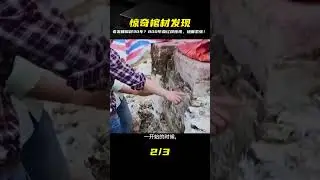老農睡棺材上30年？院中挖出800年血紅棺！專家見狀急忙疏散人群