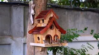Build This Cute Bird Feeder in Minutes! 🔨🐦