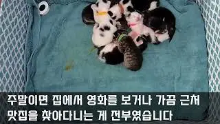 SNS로 다시 만난 첫사랑… 내 아내가 선택한 ‘진짜 인생’의 끝은 충격이었습니다   불륜사연   사이다썰