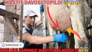 MASTIT KASALLLIGI DAVOSI !!!