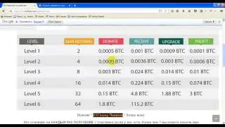 BTCHAMP Маркетинг план