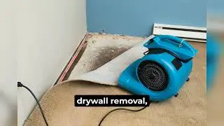 The Real Cost to Repair Water Damage in Ohio Homes (2025 Guide)