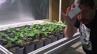 The Garden Marker is UV resistant