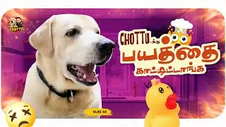 Chottu'க்கு ஒரே அசிங்கமா போச்சு 🫣🫣 | Volg 82 | Mr.Chottu