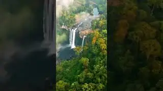 Relaxing Music | Nature🌿🍃 |Deep Sleep Music | Meditation Music | Stress Relief #shorts