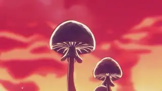 Fungi Film Festival spreads its spores into Portland