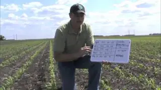 Ag Bites -- Growing Degree Days -- June 1, 2012