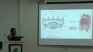 Lecture On Complete Guide to Tongue & Oral Cavity Anatomy | In-Depth Gross Anatomy Lecture | MBBS