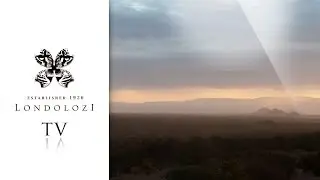 The Londolozi Eco-Guide - Londolozi TV