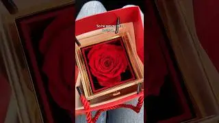 Surprise your gf with this rose that is preserved to last forever ☺️❤️