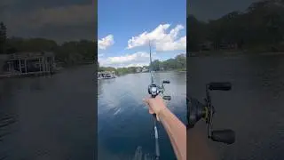 The Curado DC is the best sound in fishing🤩 #bassfishing #curadodc #dc #shortsfeed #viralshort