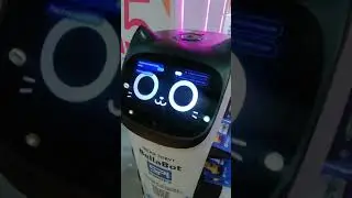 Bella bot электронная кошка автомат в Москве
