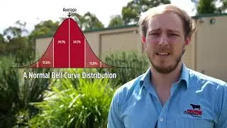 EBVs describe the difference, not the actual