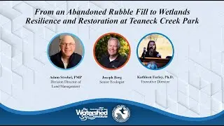 From an Abandoned Rubble Fill to a Wetland: Resilience and Restoration at Teaneck Creek Park