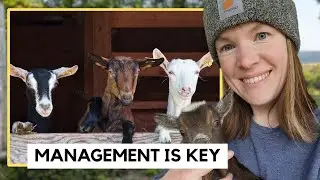 Holistic Goat Management - Goat Expert Morgan Michaluk