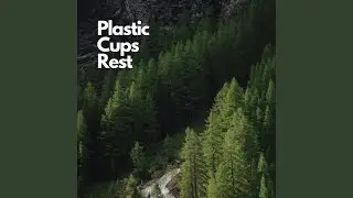 Plastic Cutting Boards Lean on the Counter
