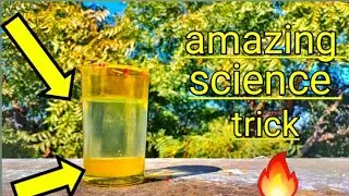 amazing science trick at home !! एसा कही देखा नही होगा ।। Royal adventure