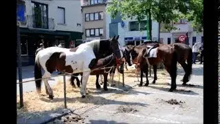 Paardenmarkt Torhout 2010