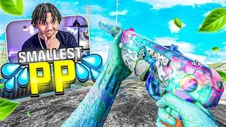 The NEW Small PP-919 Has LITERAL AIMBOT on Rebirth Island…💔🥀